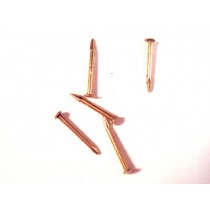 Brass Nails 7mm (200/pk, AM4134/07)